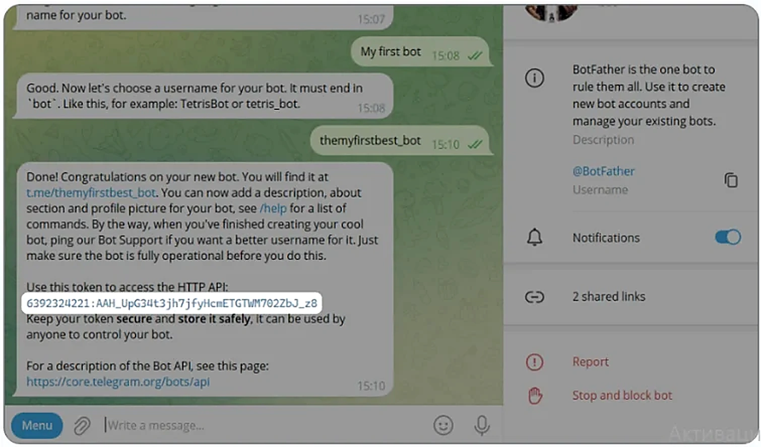 Токен бота в ответном сообщении от BotFather